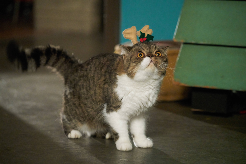(The FOX press site assures me Furguson's name is spelled "Furguson." (Photo: Ray Mickshaw/FOX)